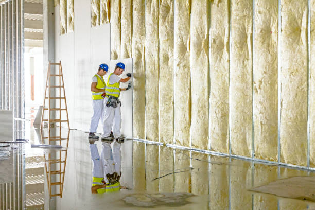 Best Commercial Insulation in Amory, MS